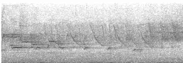 Hermit Thrush (faxoni/crymophilus) - ML617973024