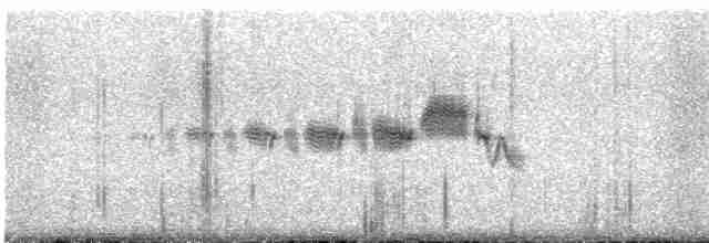 Black-throated Gray Warbler - ML617974126