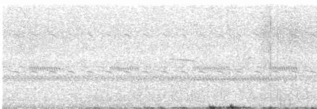 Breitspiegel-Nachtschwalbe - ML617975247