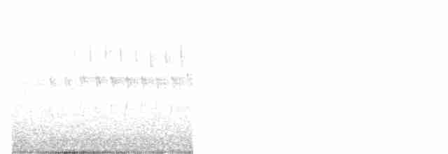 Kara Gözlü Junko (hyemalis/carolinensis) - ML617975952