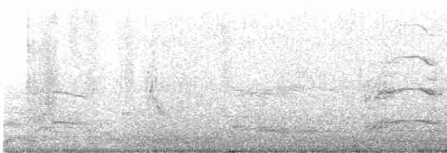 Делавэрская чайка - ML617977246