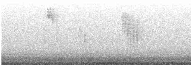 Long-tailed Tit (europaeus Group) - ML617978813