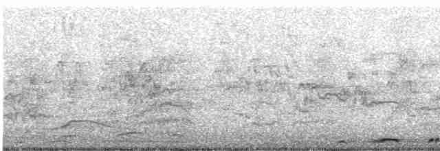 hrdlička kropenatá - ML617978978