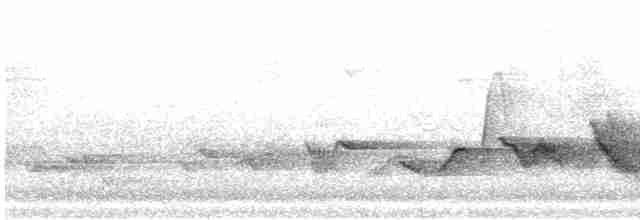 Чернокрылая пиранга - ML617979371