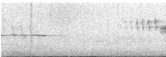 Black-throated Gray Warbler - ML617979993