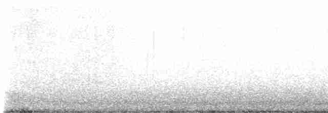 Опоясанный зимородок - ML617981112