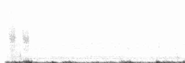 Lesser Grass-Finch - ML617981322