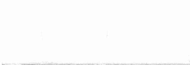 Kara Gagalı Saksağan - ML617981465