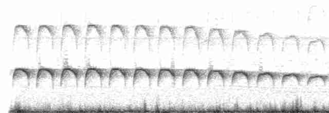 Длиннохвостая батара - ML617981689