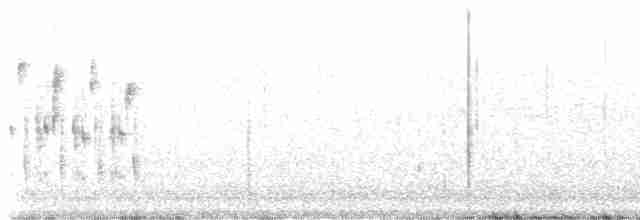 Troglodyte des marais - ML617983332