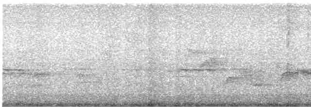 Streifenbrust-Ameisendrossel - ML617983453