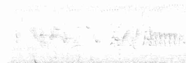 Spotless Crake - ML617988454