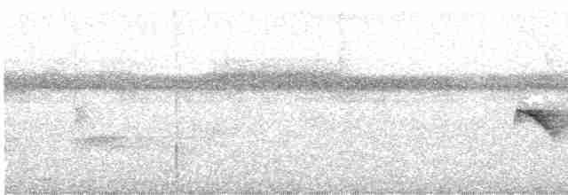 Dot-winged Antwren - ML617990836