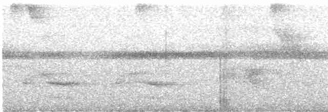 holub krátkozobý - ML617990843