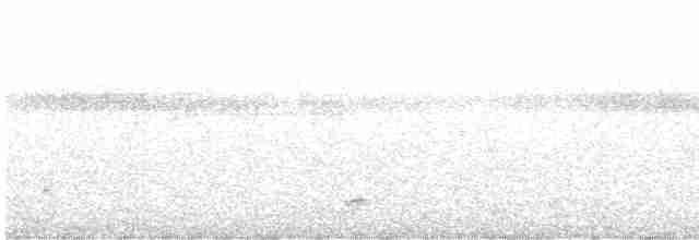 Kara Gerdanlı Çıtkuşu - ML617990866