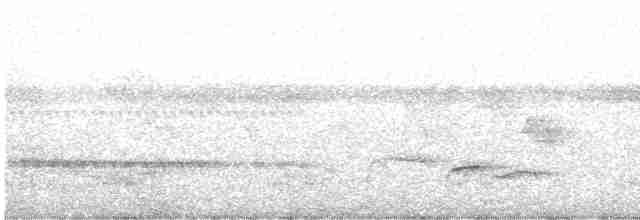 Kara Gerdanlı Çıtkuşu - ML617990867