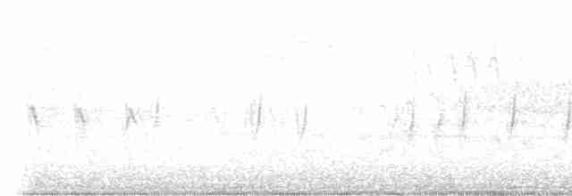 Red Crossbill (Western Hemlock or type 3) - ML617990873