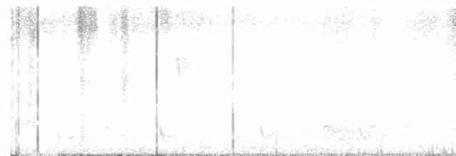 Weißbrustkleiber - ML617990901