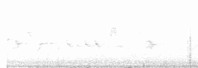Каролинский крапивник - ML617990944