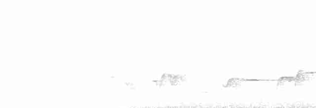 Gri Göğüslü Çıtkuşu - ML617993260