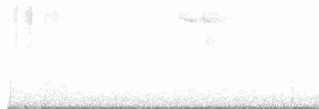 Дрізд-короткодзьоб Cвенсона - ML617994958