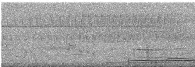 Гагара полярна - ML617995000