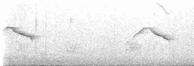Красношейный толстонос - ML617995265