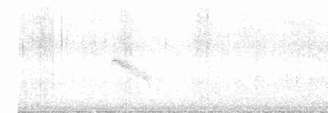 Euler Sinekkapanı - ML617995336
