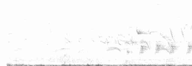 Brown-crested Flycatcher - ML617995448