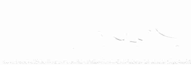 Doğulu Tarlasığırcığı - ML617995911