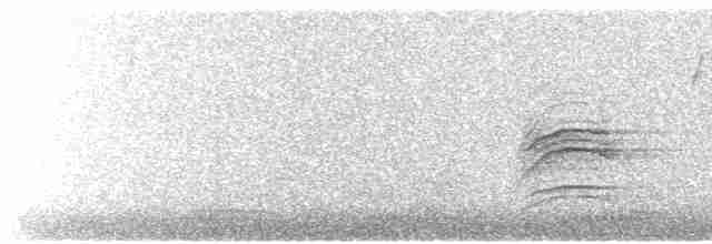 Дрізд-короткодзьоб плямистоволий - ML617995981