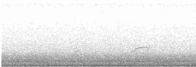 Дрізд-короткодзьоб Cвенсона - ML617996424