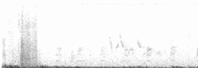 Vireo Ojiblanco - ML617998302