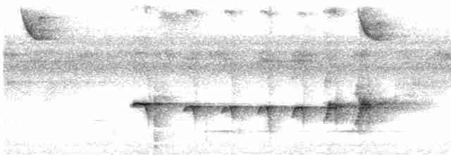 Rostflanken-Ameisenschnäpper - ML617999397