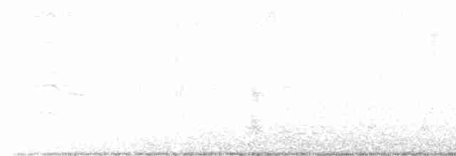 Пересмішник сірий - ML618000733