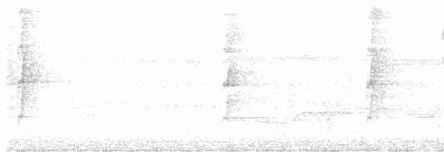 Лопатодзьоб білогорлий - ML618000853