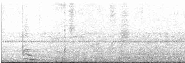 Сова плямиста (підвид lucida) - ML618001275