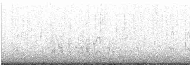 Короткоклювый бекасовидный веретенник - ML618001276