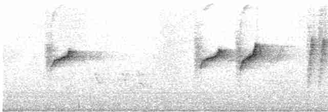 Mor Nektarkuşu - ML618002102