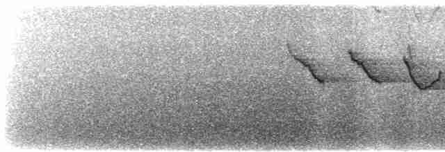 Трясогузковый певун - ML618002990
