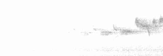 Black-throated Gray Warbler - ML618005356