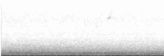 Sperlingsvogel, unbestimmt - ML618005574