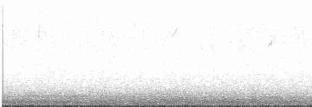 Sperlingsvogel, unbestimmt - ML618005581