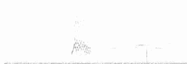 Белоглазый соловьиный дрозд - ML618006181