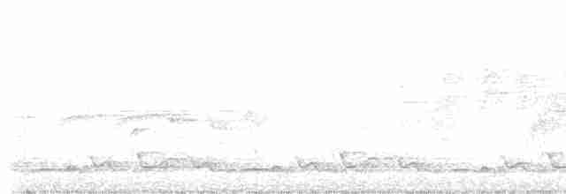 svartbrysttannvaktel - ML618006197