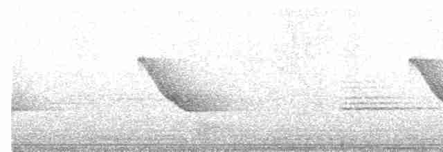 langhaleskredderfugl - ML618007256