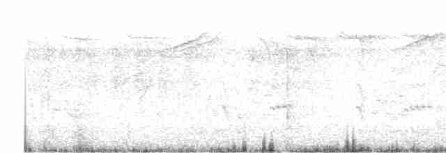 Сибирский жулан (lucionensis) - ML618007885