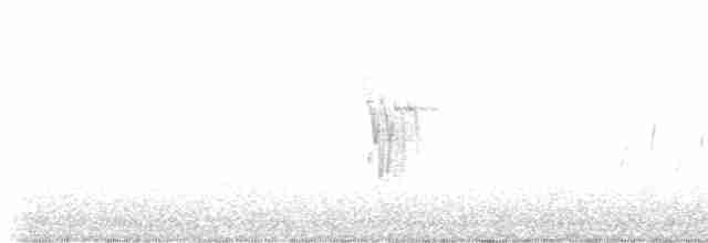 White Wagtail - ML618008327