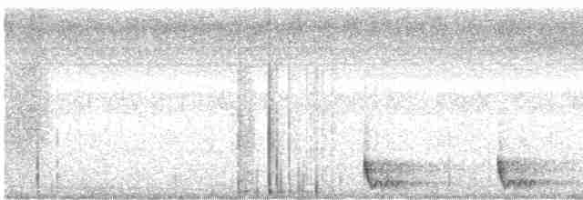 Large-tailed Nightjar - ML618008538