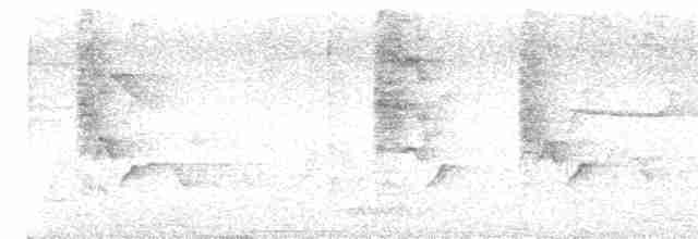 Длинноклювая нектарница - ML618009149